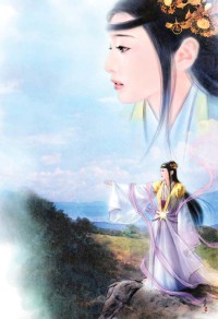 首长小心,暖妻有毒